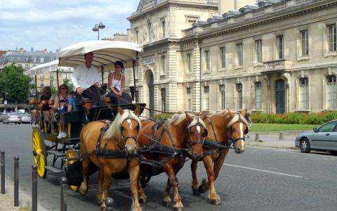Paris by horse-drawn carriage; an unforgettable tour